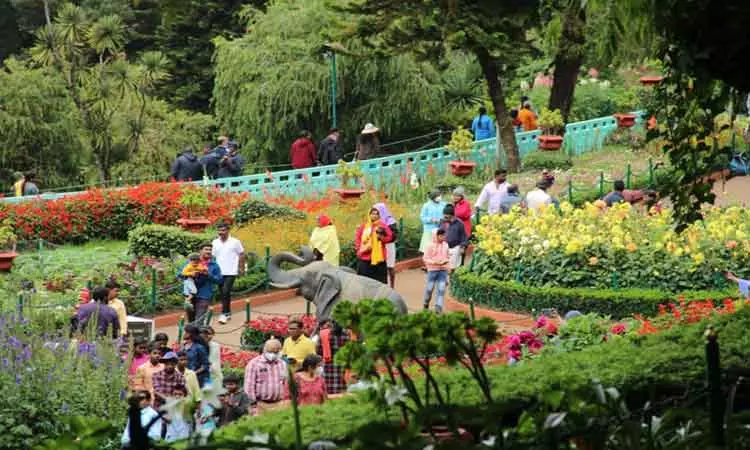 ooty flower show 30 thousand tourists visited in 2 days | ஊட்டி மலர்  கண்காட்சியை 2 நாட்களில் 30 ஆயிரம் சுற்றுலா பயணிகள் கண்டு ரசித்தனர்