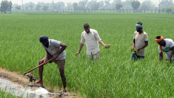 விவசாயத்துக்குத் தனி பட்ஜெட்