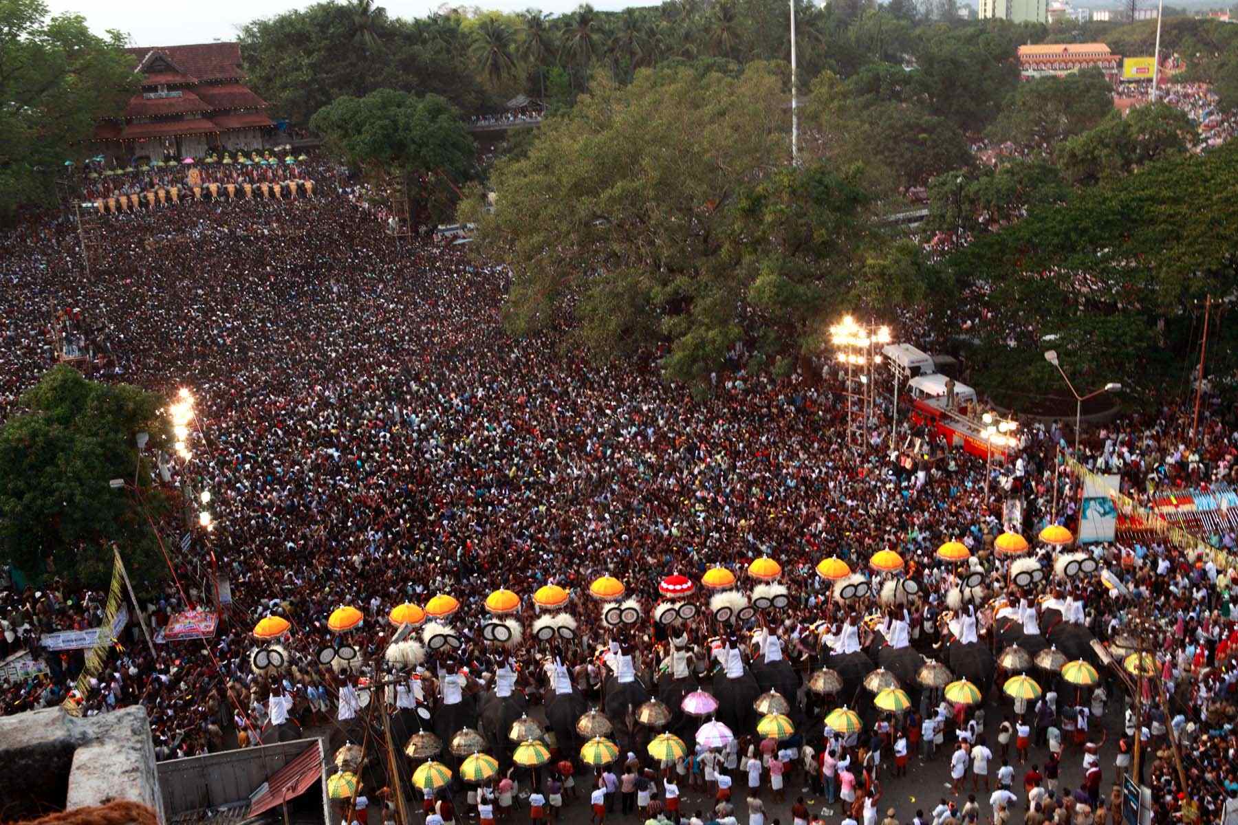 How Did Thrissur Pooram Start And What Makes It So Special