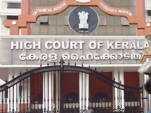 lesbian couple: Kerala High Court reunites lesbian-couple separated by  parents - The Economic Times