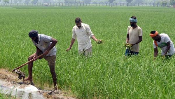  விவசாய கூட்டுக் குடும்பம் 