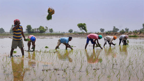 பணப்புழக்கம் 